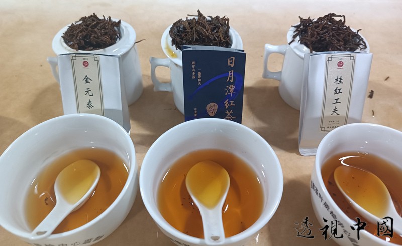 赛事用茶-透视中国