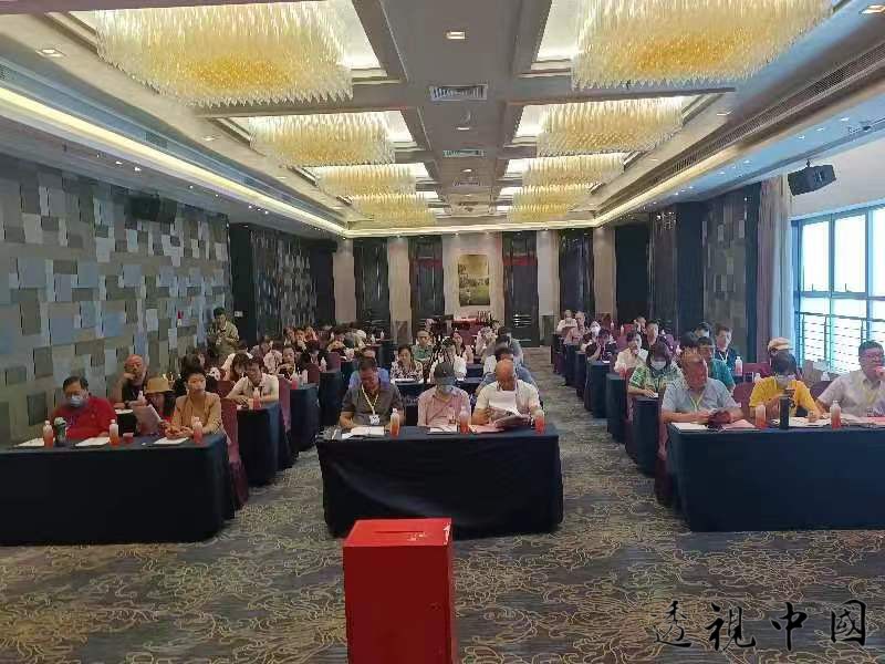 福建省林森研究会第三届第一次会员大会在福州召开 林武秀当选为会长（记者 林影 摄）-透视中国