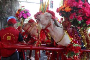 義烏鳳林曲江王氏圓譜千年望族英才輩出，一脈家聲榮耀相承