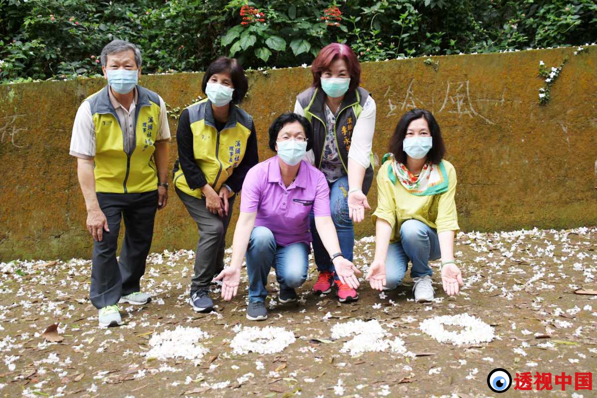 「挑水古道」赏桐花 走出户外登山健身（记者 陈建文 摄）-透视中国