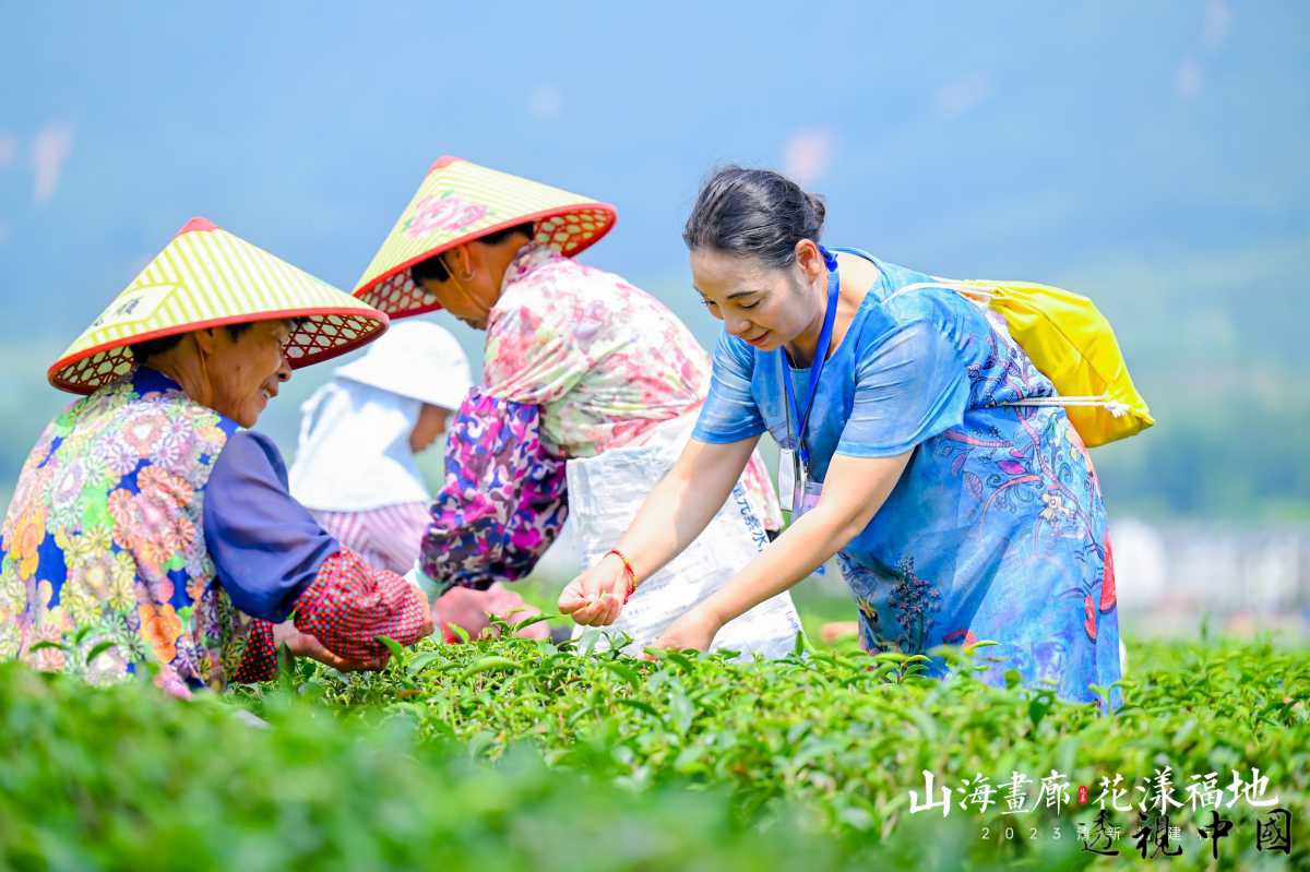 兩岸融媒體採訪團賞幽蘭 創業達人分享臺資臺技助力清流蘭花王國（記者 王克瑞 攝）-透视中国