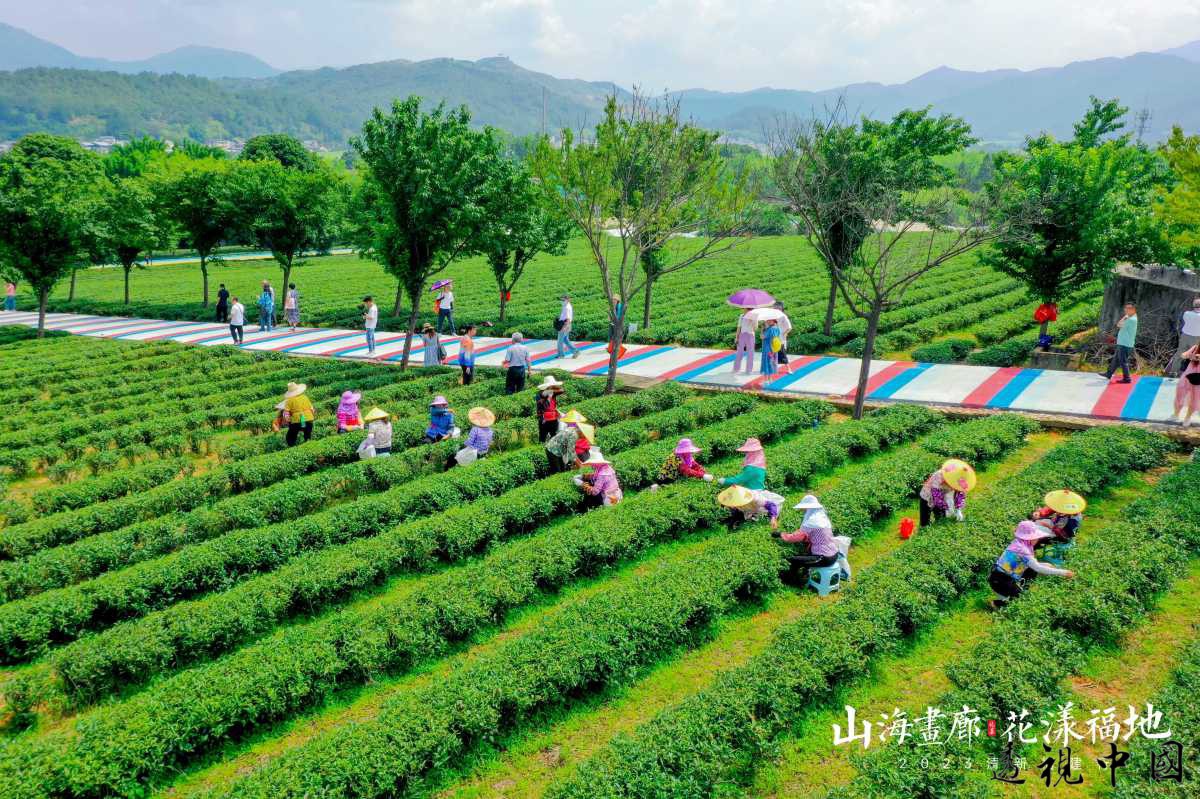 兩岸媒體人共賞清流蘭花王國 賴張龍感謝臺商臺農技術支持的創業之路（記者 王克瑞 攝）-透视中国