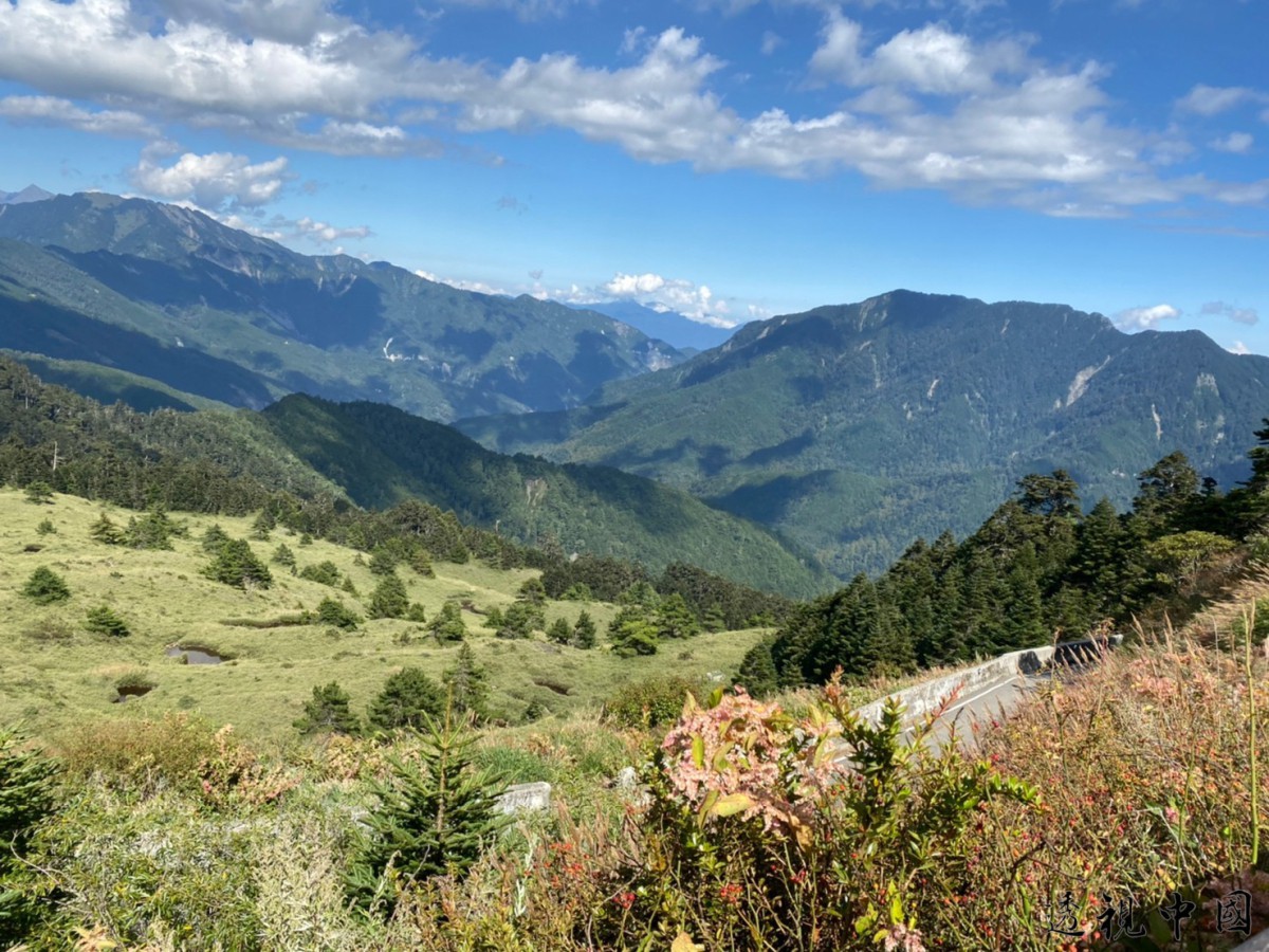 戀夏旅人~愛上合歡 戀戀合歡奧萬大 教師自然生態研習營（圖：南投縣團委會 提供）-透视中国