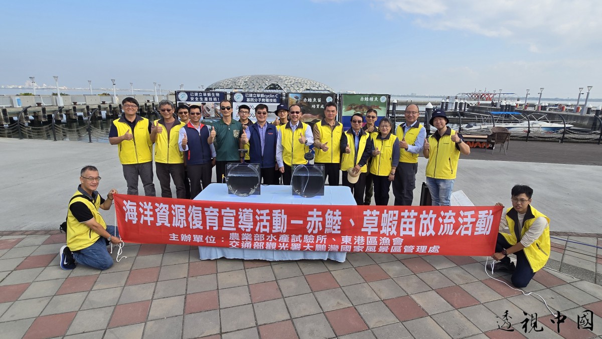 守護蔚藍海洋 水試所攜手地方放流赤鯥與草蝦 厚植大鵬灣漁業資源（圖：農業部水產試驗所 東港養殖研究中心 提供）-透视中国