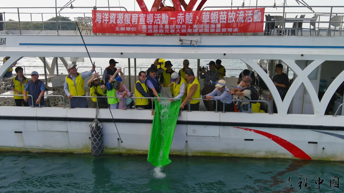 守護蔚藍海洋 水試所攜手地方放流赤鯥與草蝦 厚植大鵬灣漁業資源（圖：農業部水產試驗所 東港養殖研究中心 提供）-透视中国
